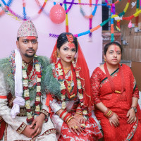 palpa1 